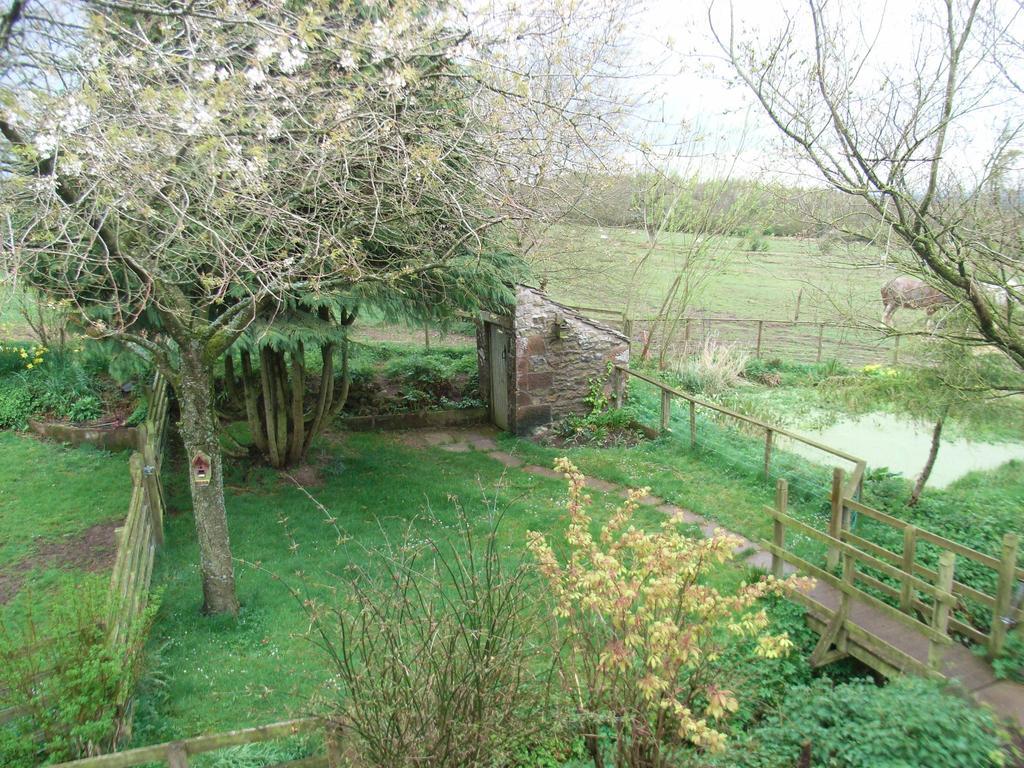 Wallace Lane Farm Westward Екстериор снимка