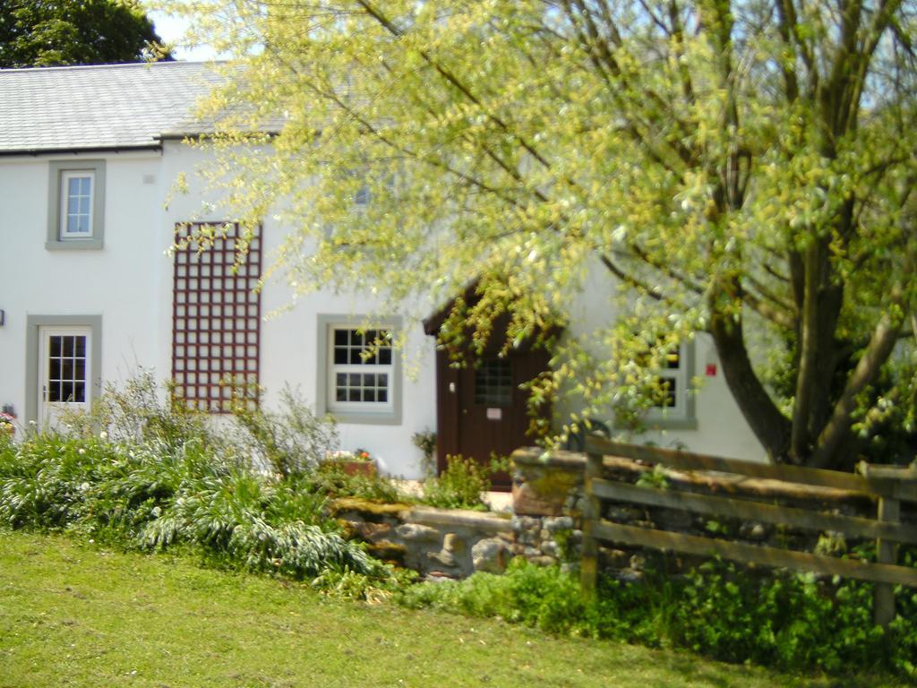 Wallace Lane Farm Westward Екстериор снимка
